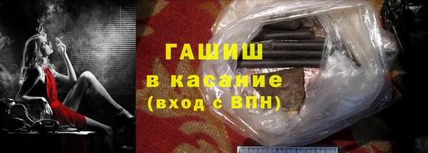 амф Ельня