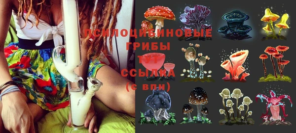 экстази Елизово