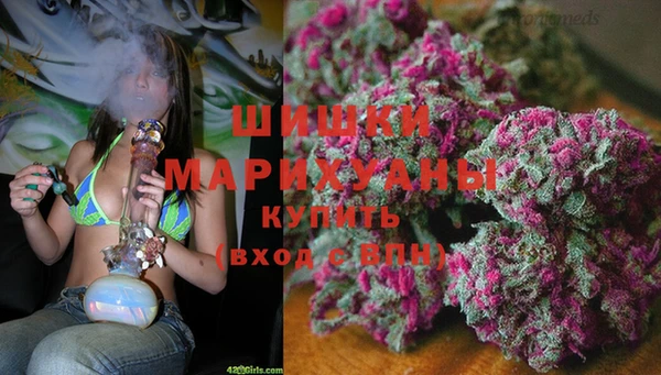 трава Заволжск