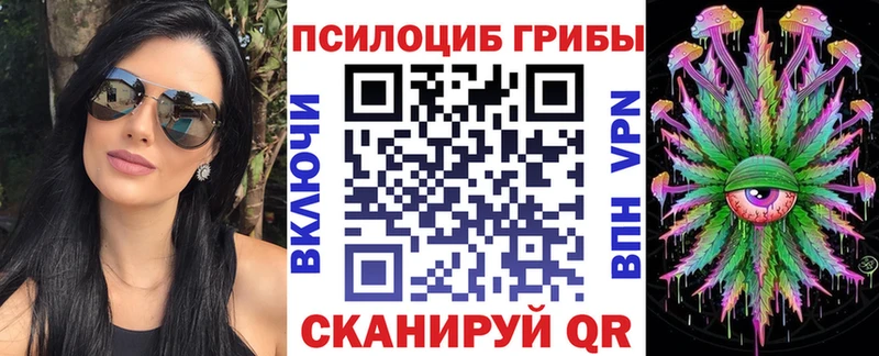 купить закладку  Истра  Псилоцибиновые грибы мицелий 